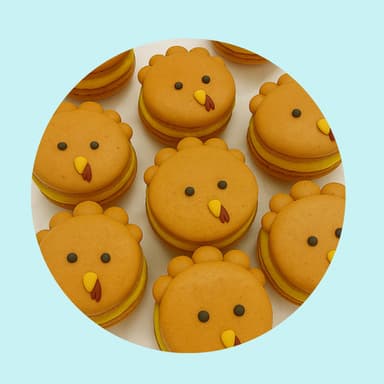 Turkey French Macaron  image