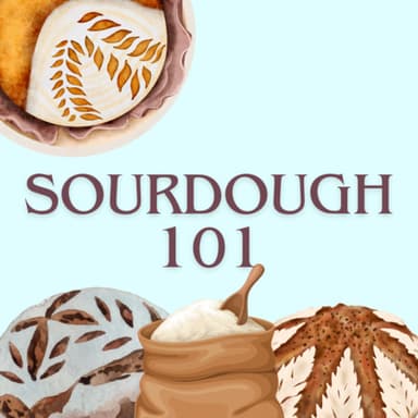 Sourdough 101 image