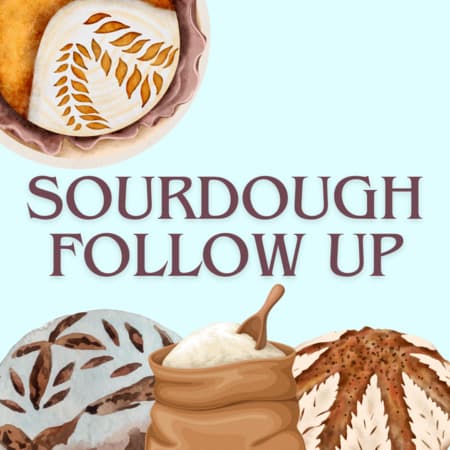 Sourdough Follow Up 