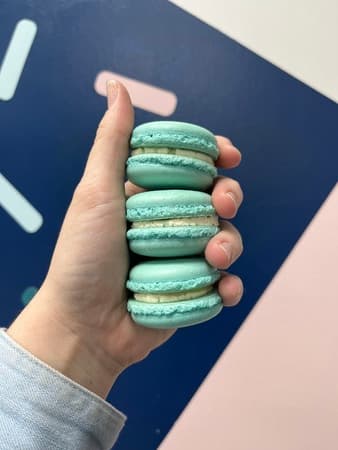 Christmas Tree French Macaron
