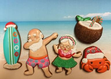 Cookie Decorating Level 1.5 : Santa's Beach Holiday  image