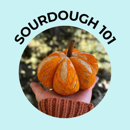 Sourdough 101 : Pumpkin Shaped